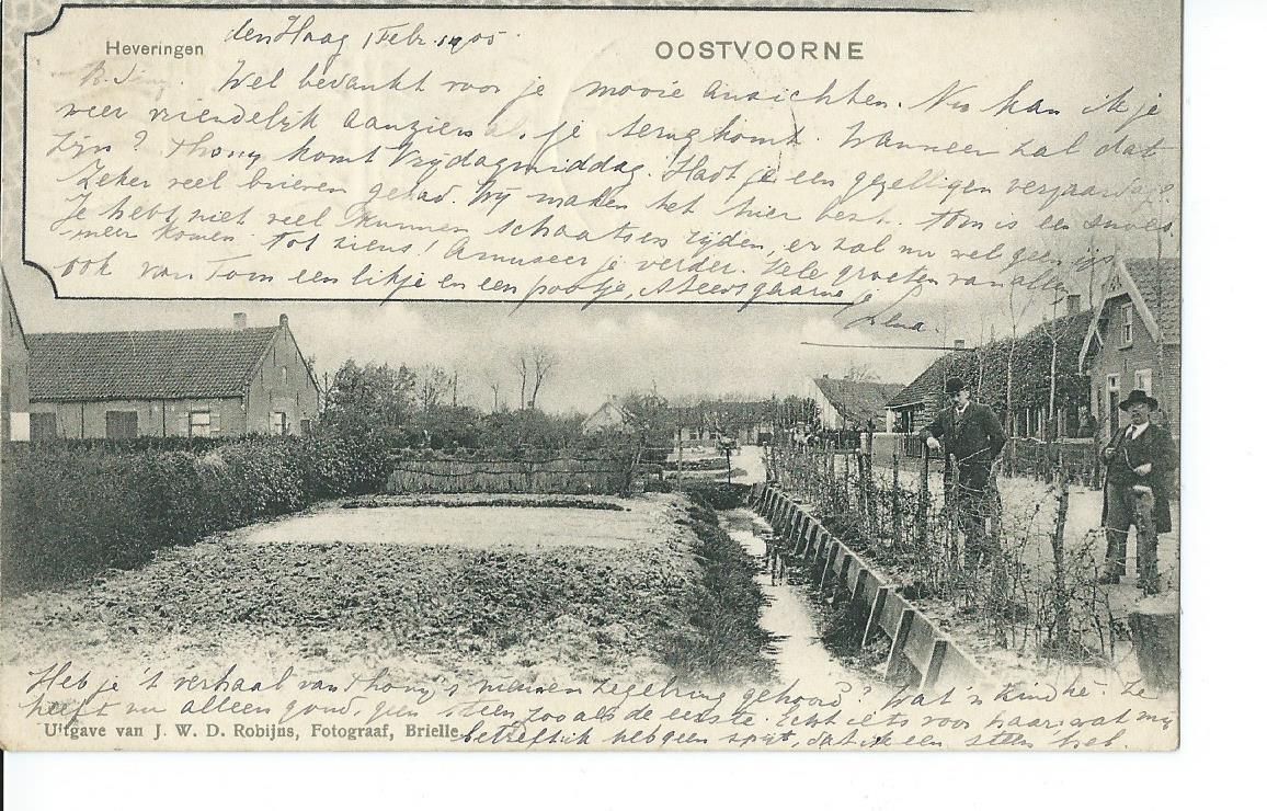Oostvoorne (ZH), Oostvoorne