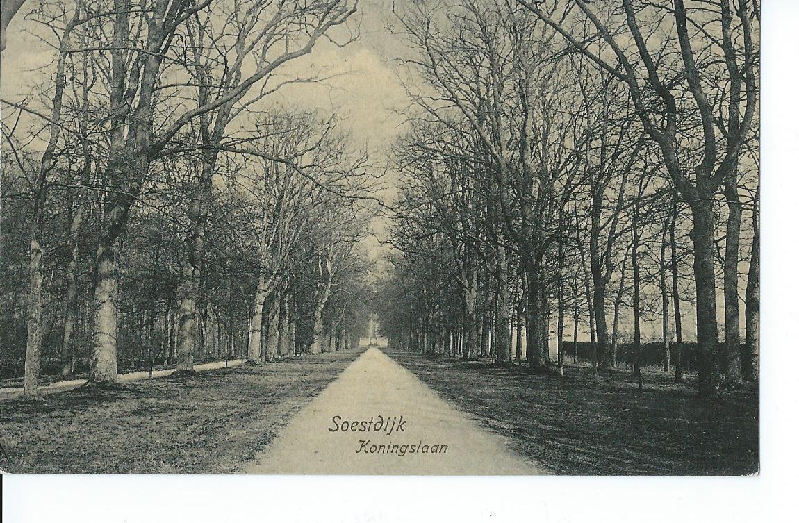 Soestdijk (UT), Koningslaan