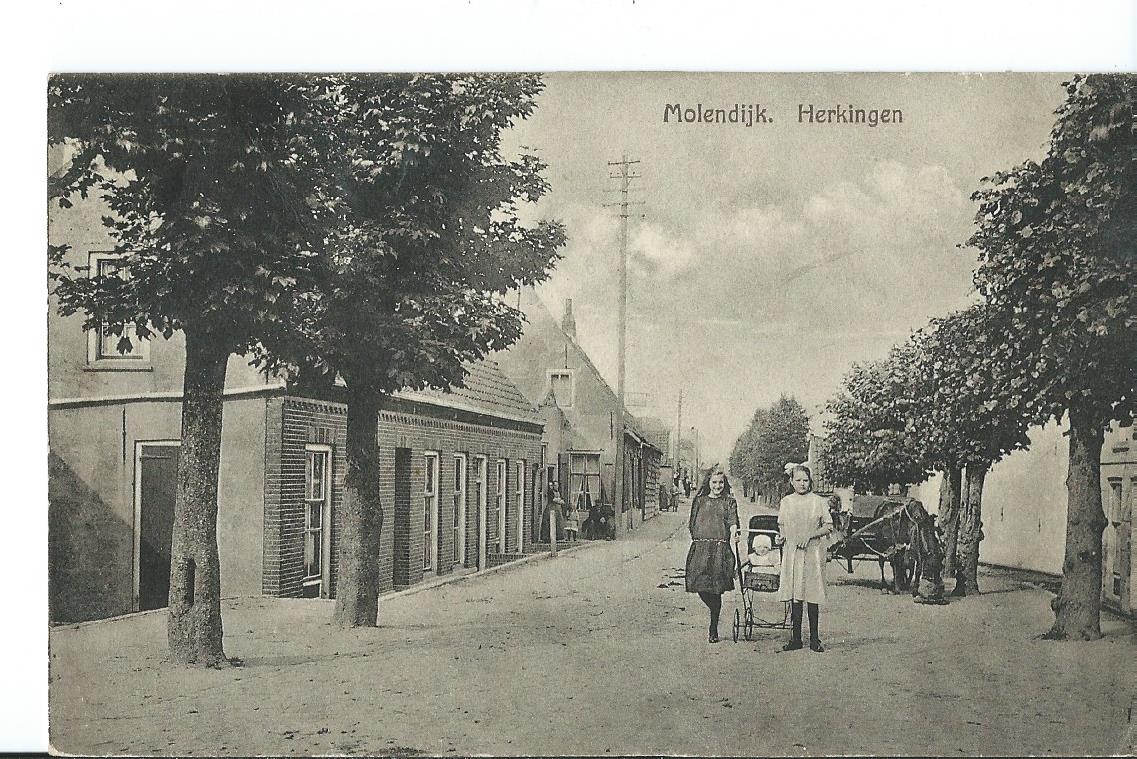Herkingen (ZH), Molendijk