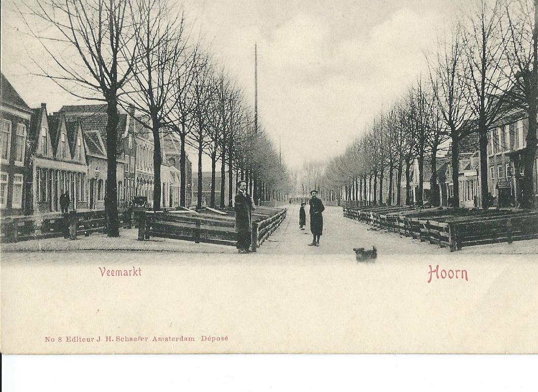 Hoorn (NH), Veemarkt