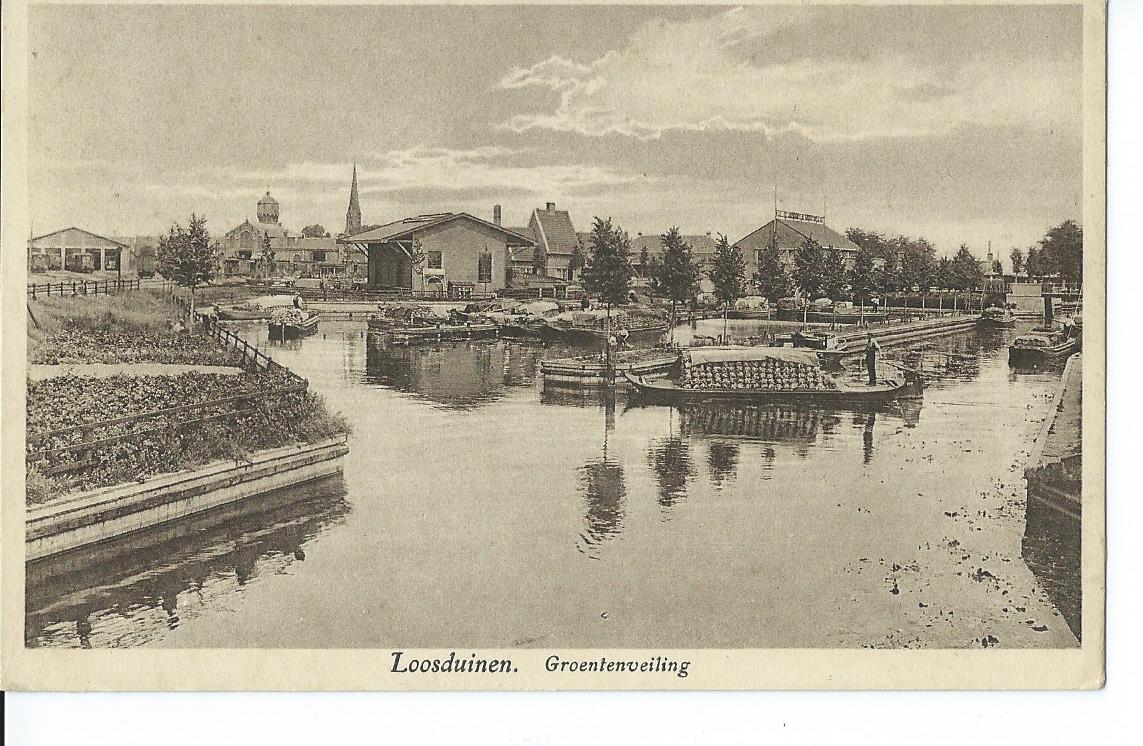 Loosduinen (ZH), Groentenveiling