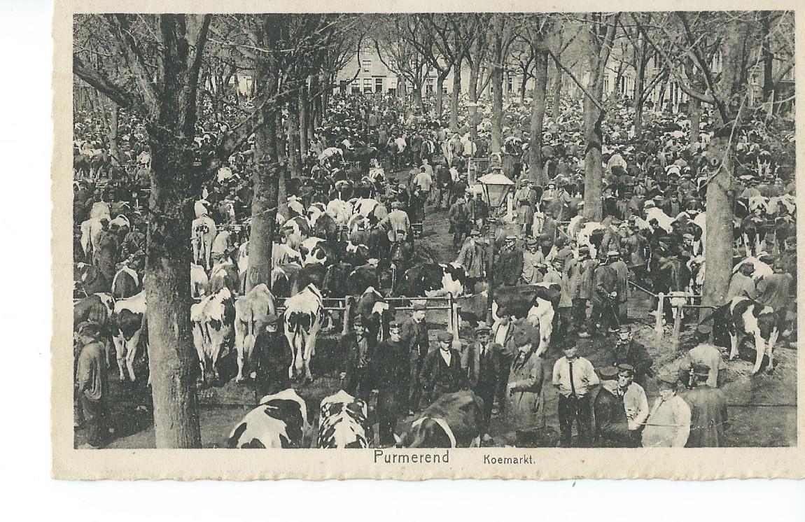 Purmerend (NH), Koemarkt