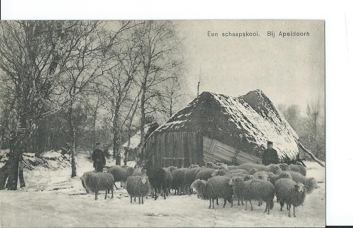 Apeldoorn (GL), Een schaapskooi