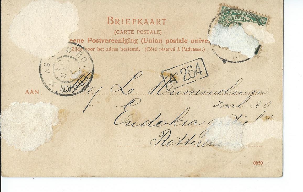Vlaardingen (ZH), Schiedamsche dijk bij de vijfsluizen, 2725