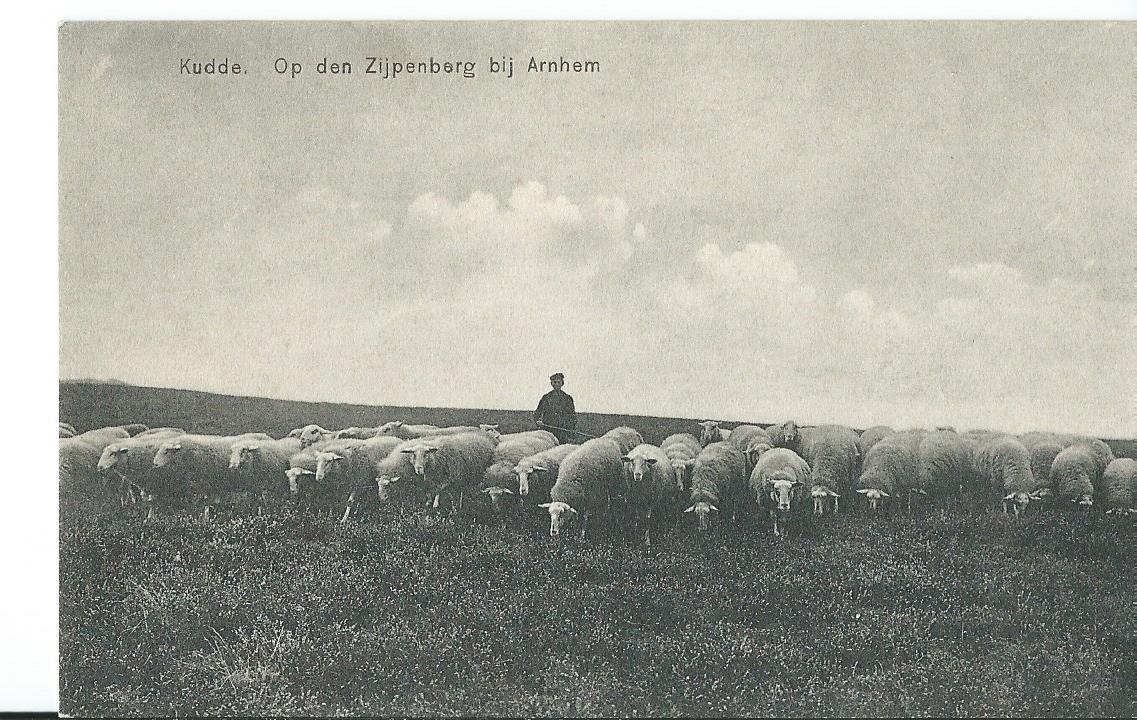 Arnhem (GL), Kudde.  Op den Zijpenberg