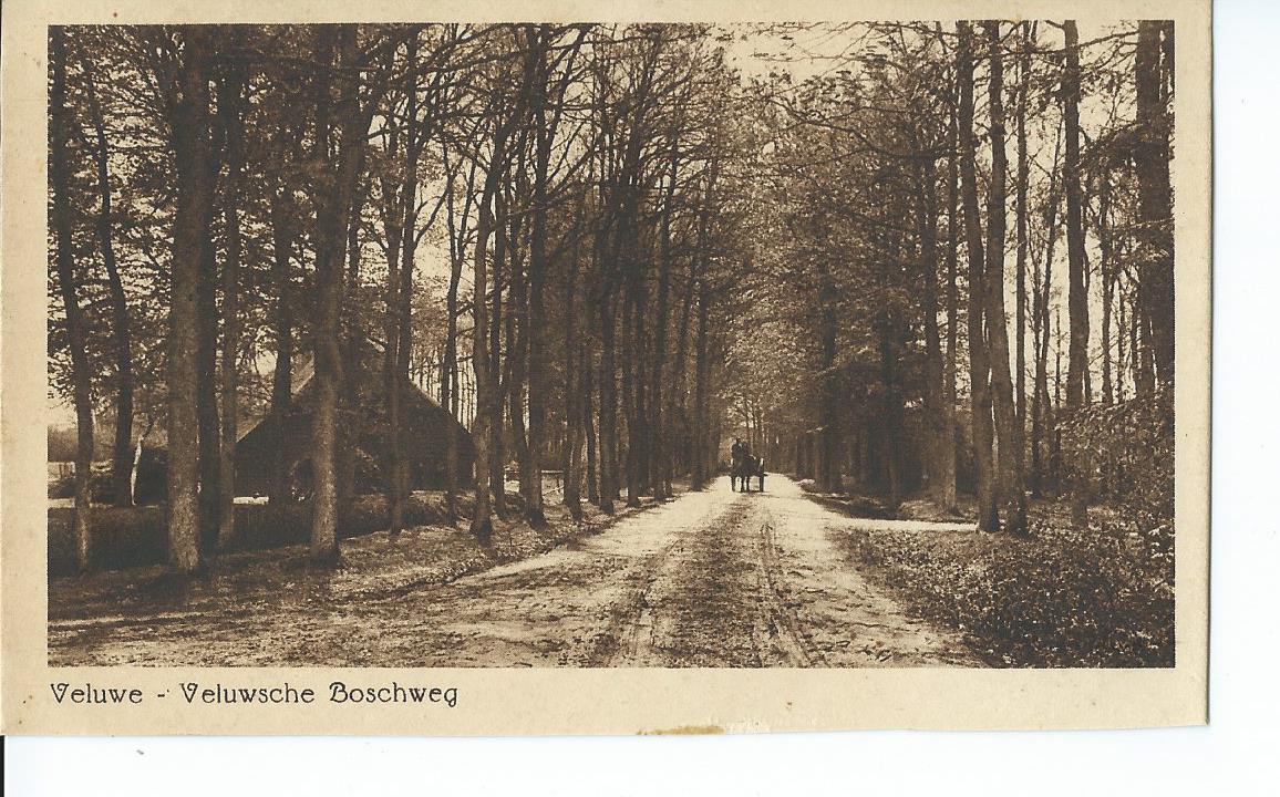 Veluwe (GL), Veluwsche Boschweg