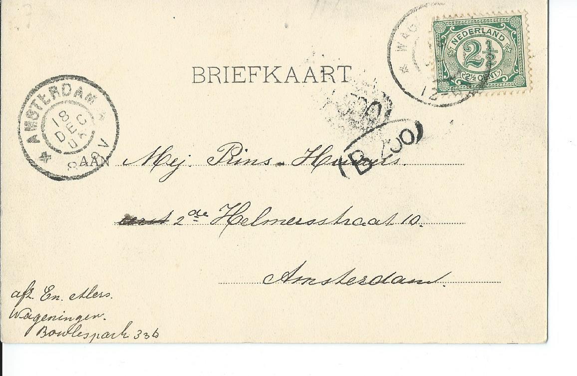 Wageningen (GL), Gezicht op den Wilhelmineweg en H.B.S., 2738