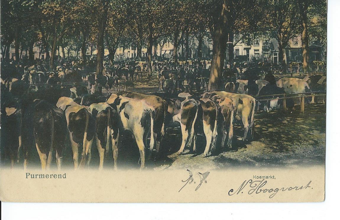 Purmerend (NH), Koemarkt
