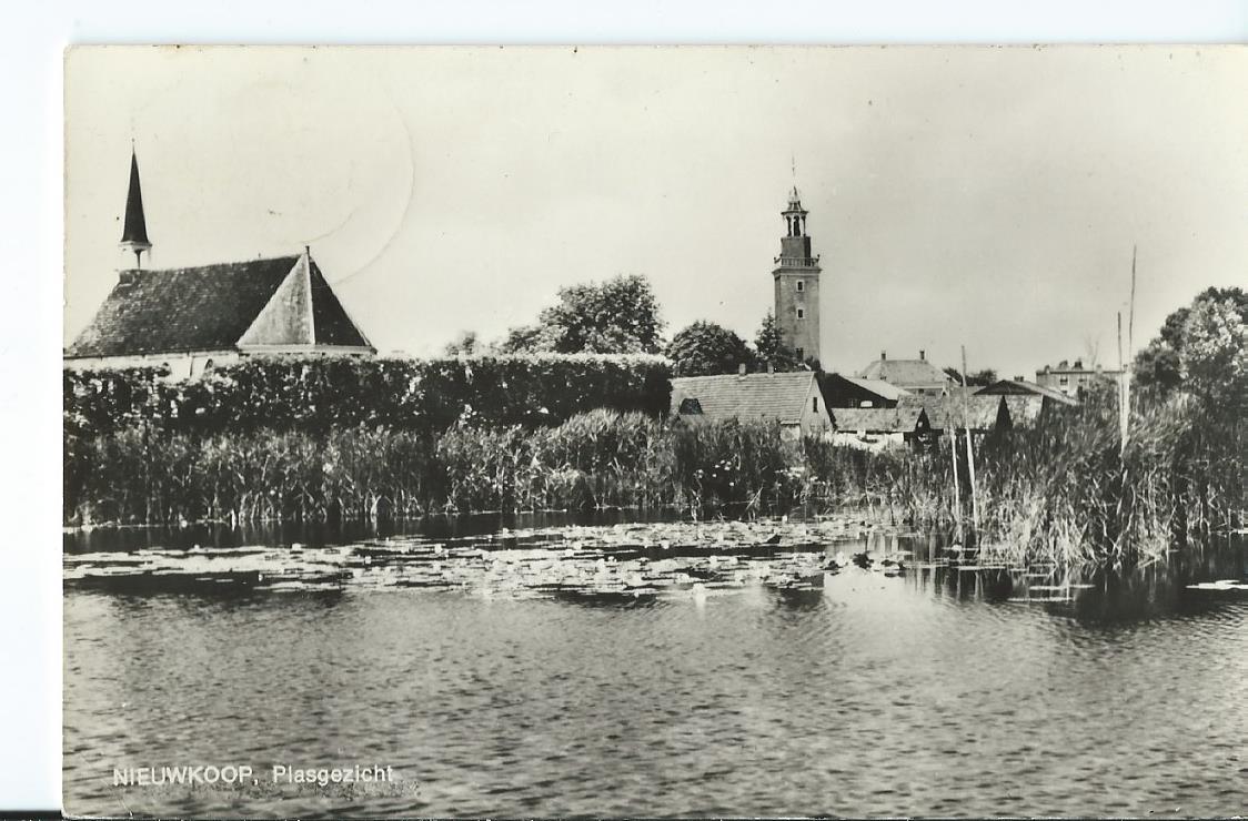 Nieuwkoop, Plasgezicht, 2687