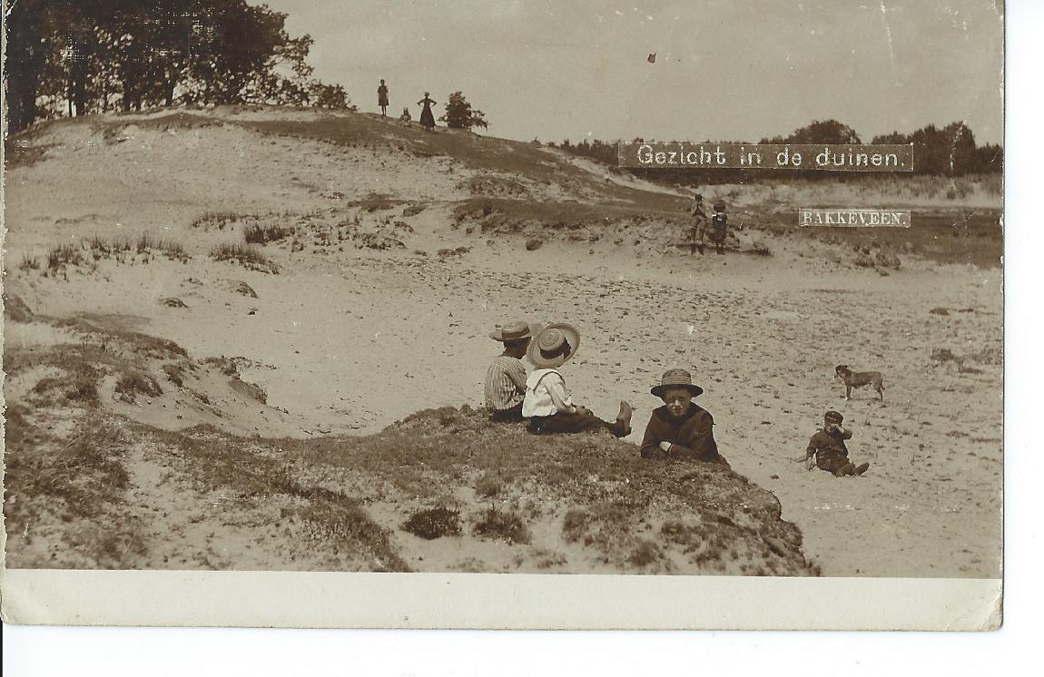 Bakkeveen (FR), Gezicht in de duinen