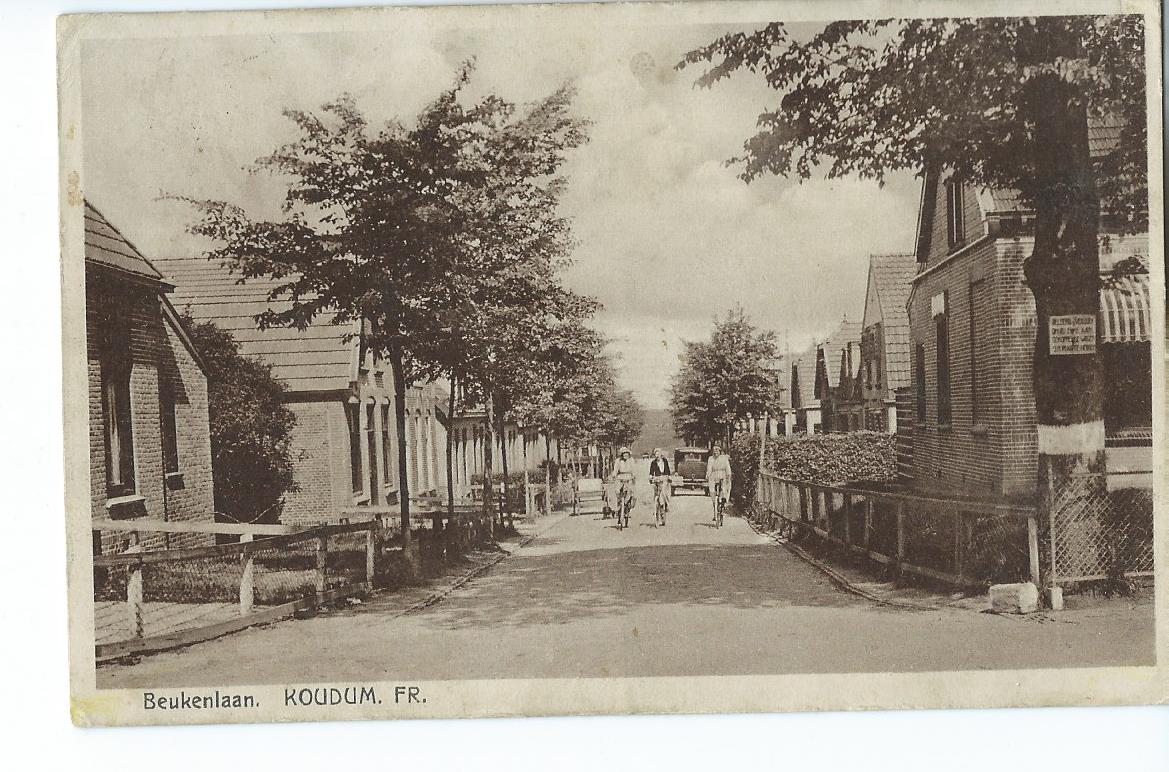 Koudum (FR), Beukenlaan